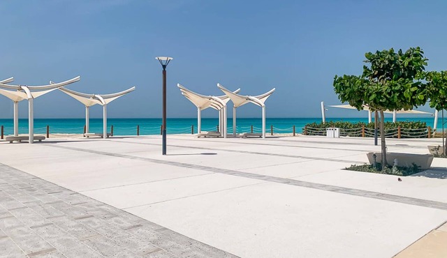 Luxurious 2BR Beachfront Apt in Al Saadiyat!