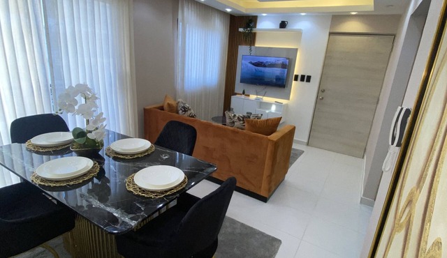 Luxurious and modern apartment 10 minutes from the aero port