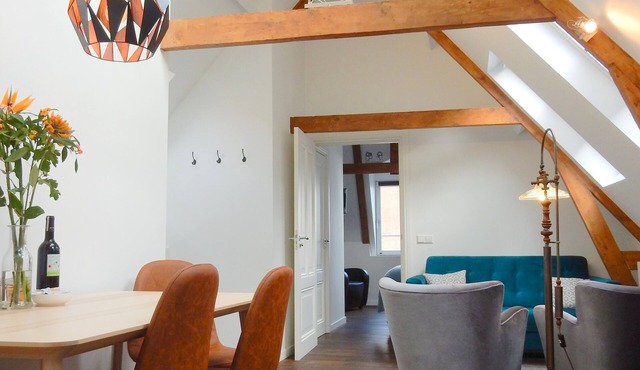 Luxurious and spacious penthouse in city center! 2 bathrooms, airco, wifi.