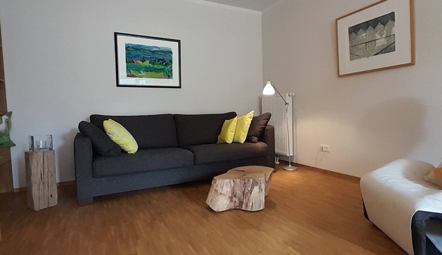 Luxurious apartment (2 rooms; 70 sqm; terrace; garden; air conditioning.)