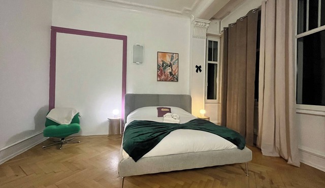 Luxurious central apartment Strasbourg