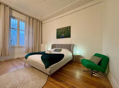 Luxurious central apartment Strasbourg center