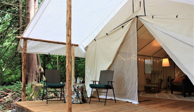 Luxurious Glamour Camping in Northwest Cedar Forest