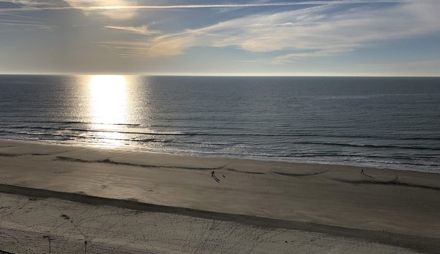 Luxurious Oceanfront Condo, 11th Floor with Amazing Views, Close to Main Street