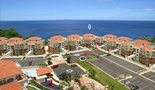 Luxurious, Oceanview condo, overlooking Crashboat Beach