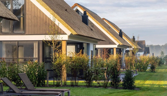 Luxurious Villa in Texel
