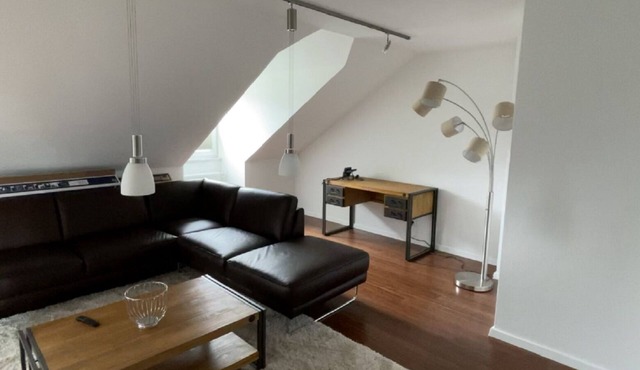 Luxurious vacation apartment (55 m²) with south-facing balcony and bio-ethanol wall fireplace