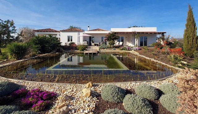 Luxurious vacation home with natural pool and sea view
