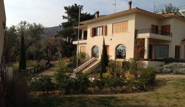 Luxurious Villa, designer's pool, lighted tennis court, olive grove, sea views.