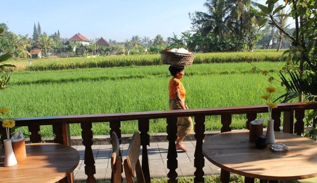 Luxury 2 BR Private Pool Vila Nice Paddies Field View