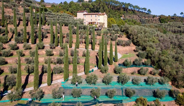 Luxury 6-bed Tuscan Villa Near Lucca and Florence