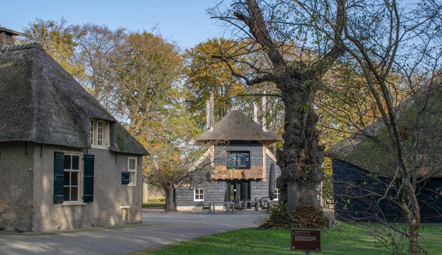 Luxury accommodation at the edge of the forest
