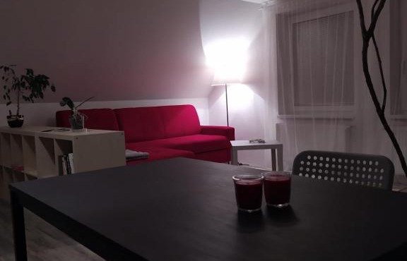 Luxury accommodation near Prague airport