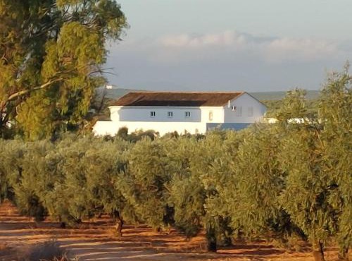 Luxury accomodation off grid