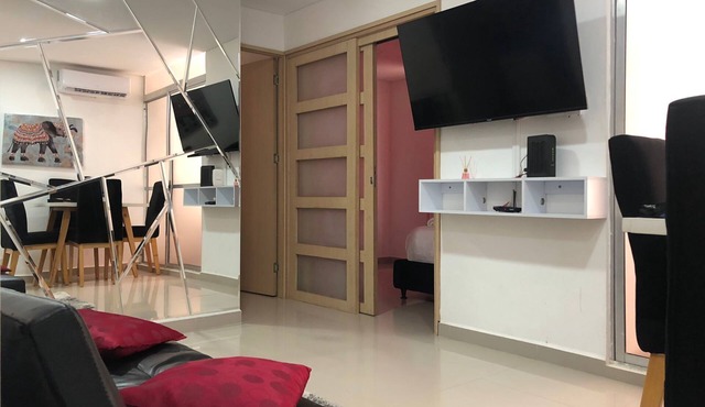 Luxury Apartment