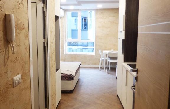 Luxury apartment