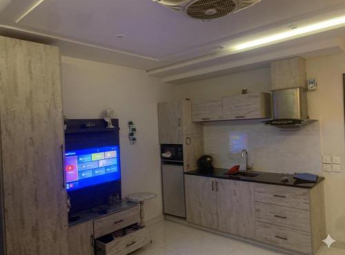 Luxury Apartment Facing Eifel Tower Building