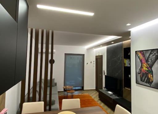Luxury Apartment