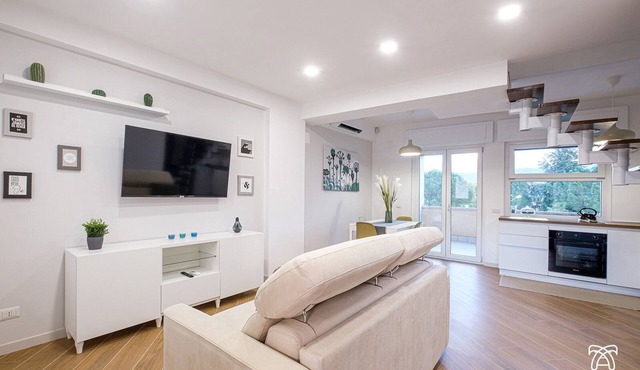 Luxury Apartment