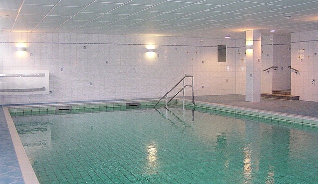 Luxury apartment with swimming pool, sauna, steam bath, fireplace, massage chair