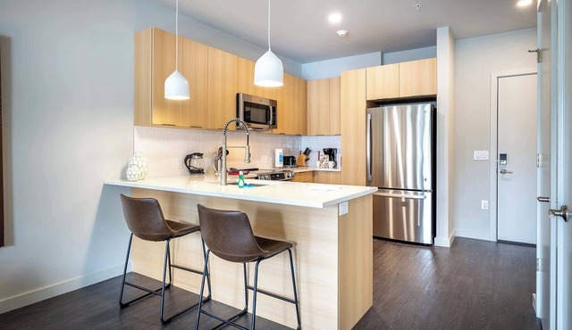 Luxury Apt Downtown