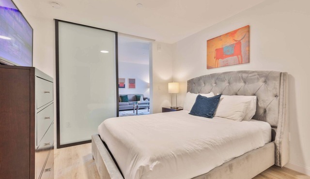 Luxury Apt with Kitchen Gym and Lounge