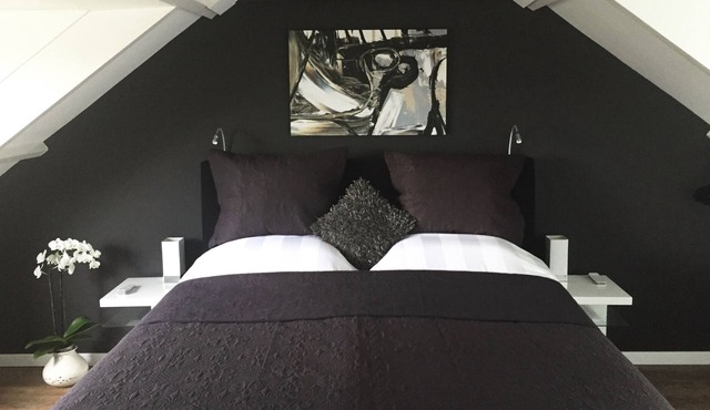 Luxury attic with private kitchen, toilet, bath, breakfast & Netflix near Schiphol