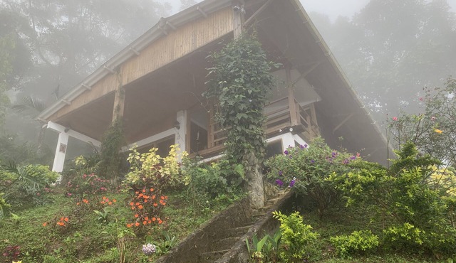 Luxury cabin in Minca
