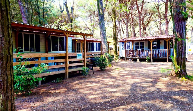 Luxury Chalet near the sea! (no: 719)