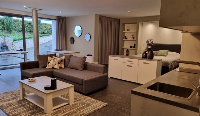 Luxury family apartment