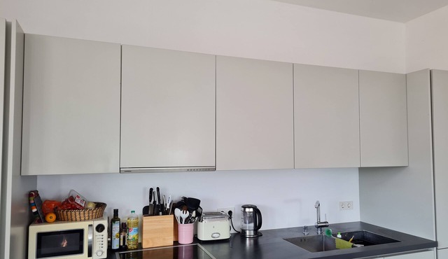 Luxury flat in central Berlin