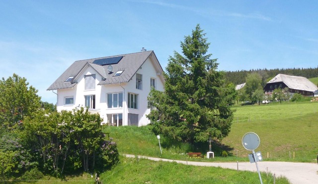 Luxury flat in Kappel