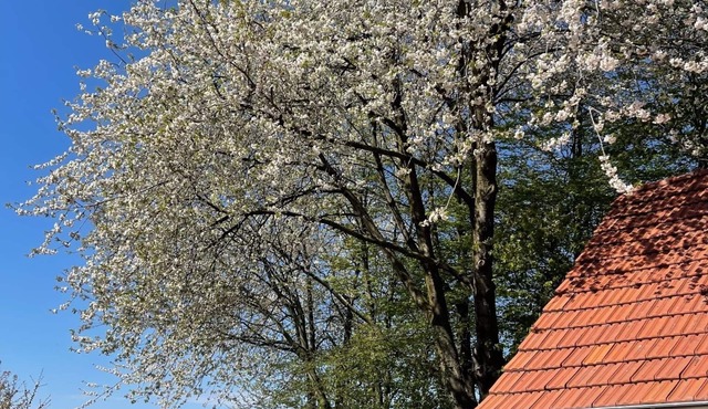 Luxury in the countryside (4p) in private accommodation