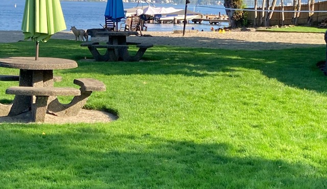 Luxury Lakefront MS Corporate Apartment with boat slip & lift included. Eagles!