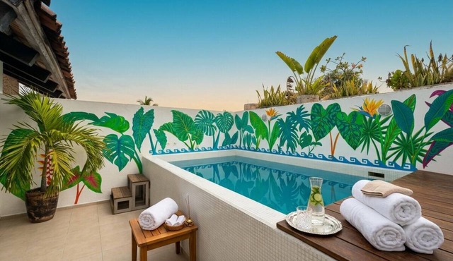 Luxury Loft with Private Pool in Ixtapa