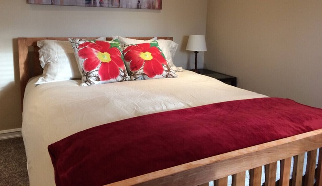 Luxury main floor suite, walk to Hospital, business and restaurant district