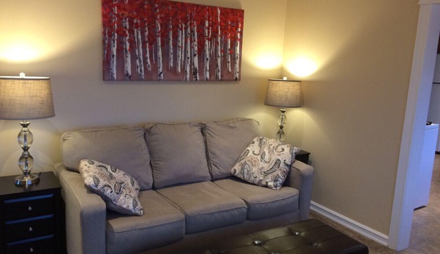 Luxury main floor suite, walk to Hospital, business and restaurant district