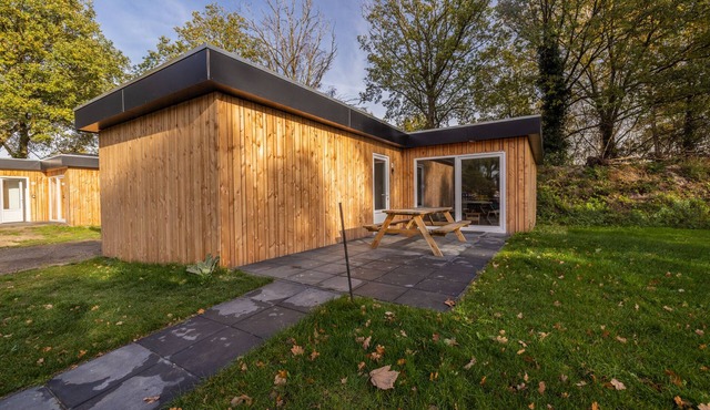 Luxury Modern Bungalow (14)