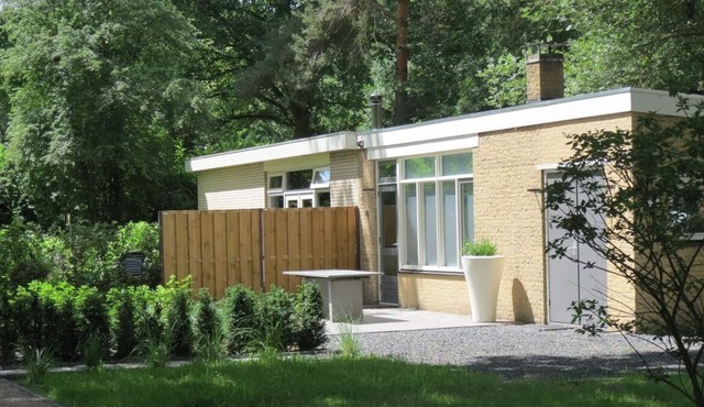 Luxury modern bungalow surrounded by tranquility, privacy and nature