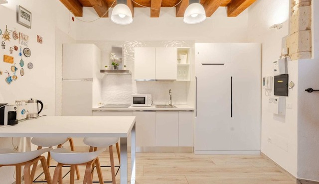 Luxury modern Studio in historic district