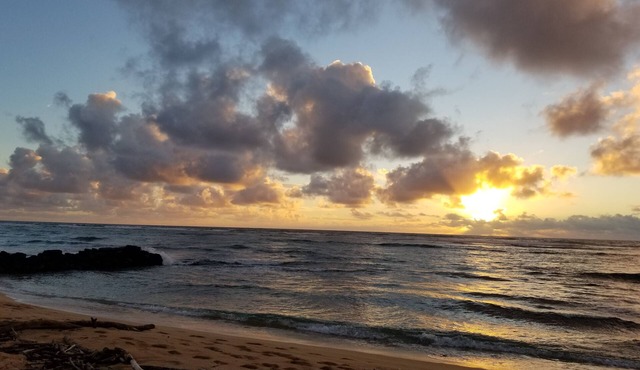 Luxury Ocean Front Property! Ocean& pool view. B204