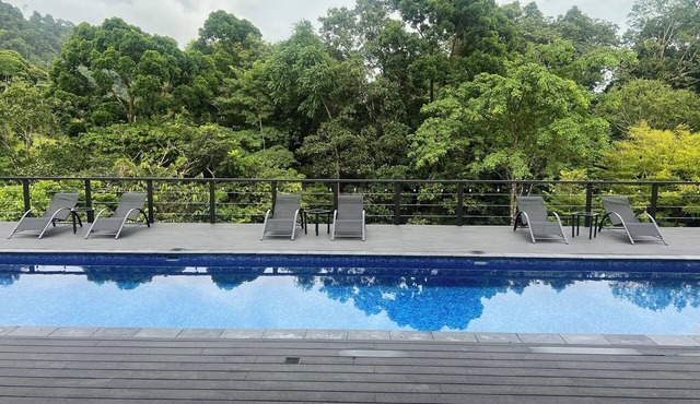 Luxury Rainforest Casita with Canopy and Jungle View 1 Bedroom, Pool, Gym