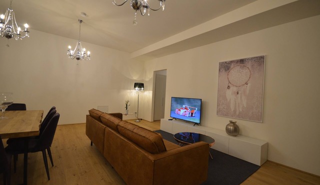 Luxury Residence near Parliament in @YourVienna