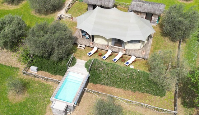 Luxury Tent Experience into Tuscany Olives Grooves Hill