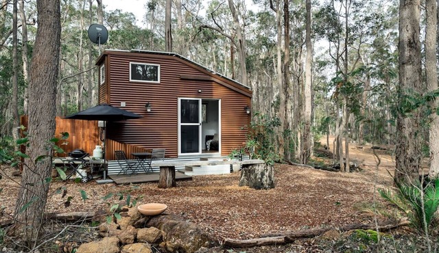 Luxury Tiny Home in the Forest