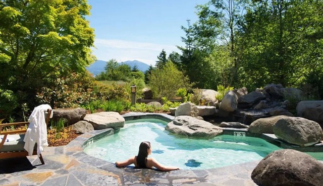 Luxury Tree House into the Heart of Washington