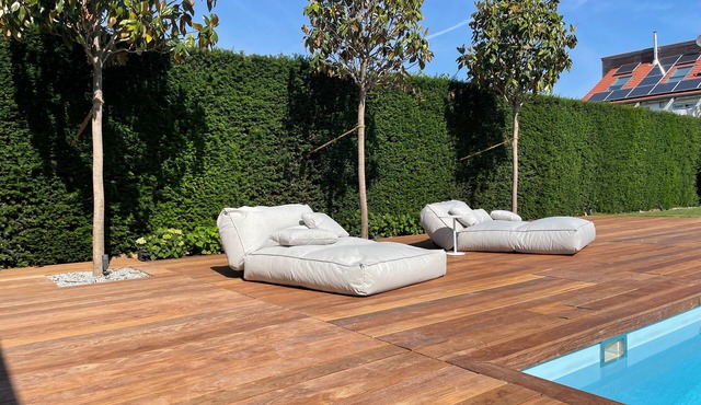 Luxury villa near Heidelberg with pool, cinema and 1300 sqm plot