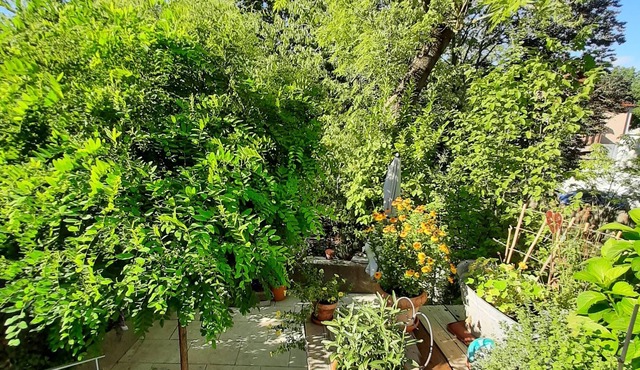 Luxusappartement mit Eigenem Garten Nähe Zentralklinikum