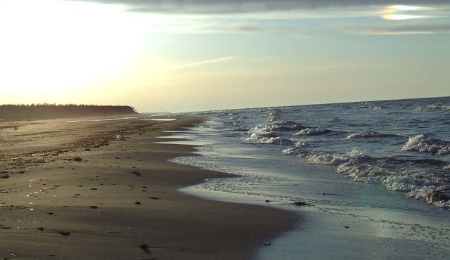 Lyons Cottages - Cottage #2, 2BR Walk to the Beaches of Stanhope National Park!
