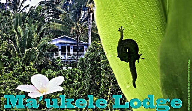 Ma'ukele Lodge